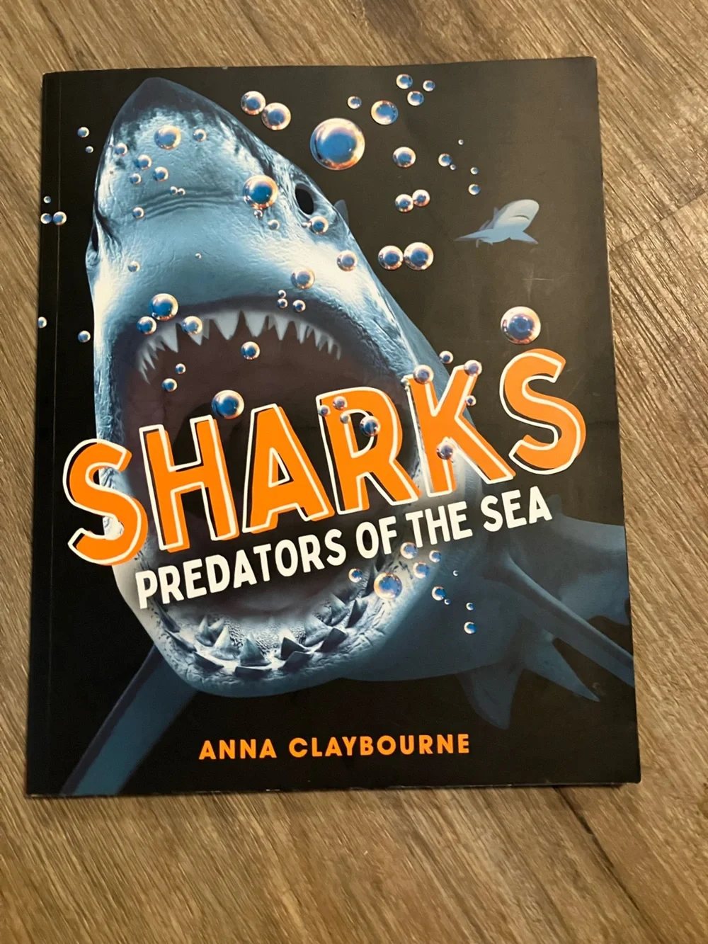 Sharks Predators of the Sea paper cover Book - Bold Orange Title